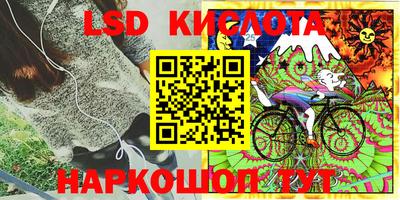 шишки Будённовск