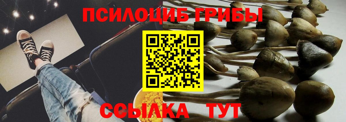 Галлюциногенные грибы Psilocybine cubensis Лангепас